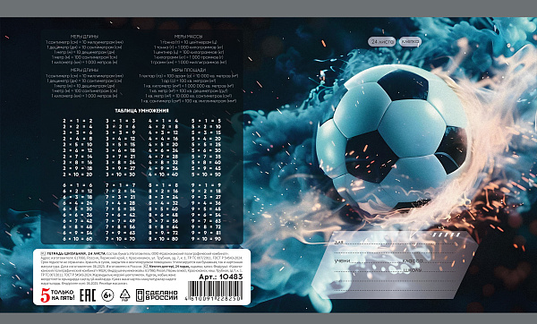 Тетрадь 24 листа в клетку "Футбол" обложка из мелованной бумаги(115 г/м²) блок офсет 60 г/м², 92%, микс 5 вид