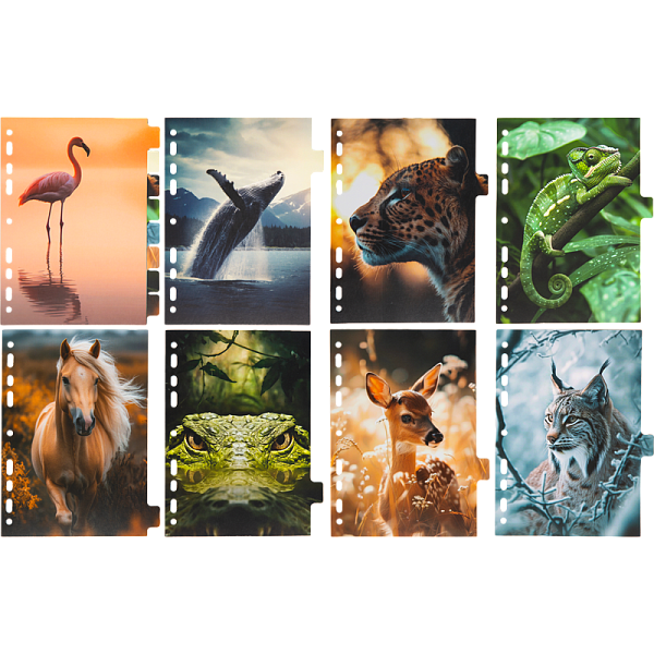 Разделитель листов "deVENTE. Nature" A5 (160x210 мм) ламинированный мелованный картон 210 г/м2, с рисунком, 8 шт, индивидуальная упаковка