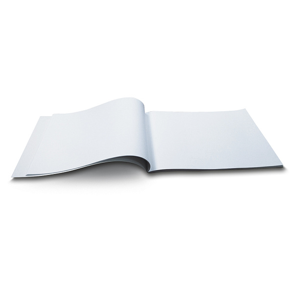 Альбом д/рис. 24 л. "Сердце в лапках" 100 г/м2 A4 29. 20.2 см на скобе. 01696 "Светоч"