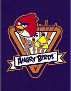 Тетрадь на кольцах 120 л. А5 "ANGRY BIRDS"  запечат. форзац в индив.упак.