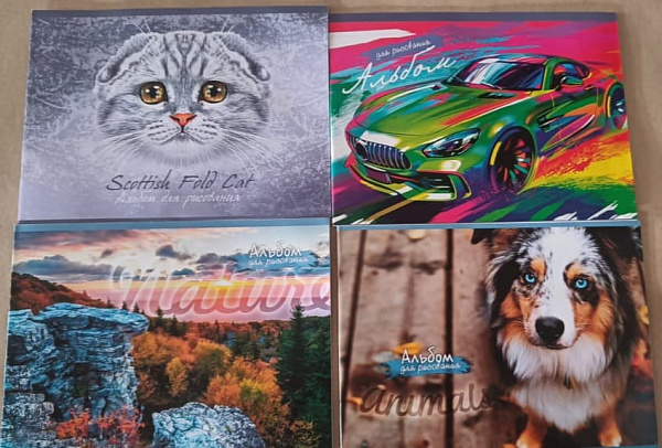 Альбом для рис. 16л. скоба МИКС, обл. мелов.бумага