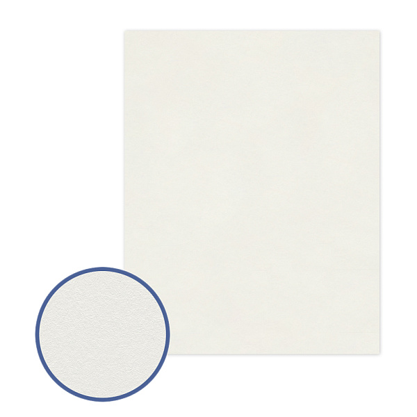 Картон грунтованный "VISTA-ARTISTA"  20 х 25 см .