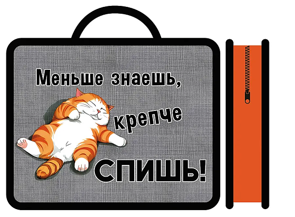Папка детская  А4 пластиковая, с ручками 330/260/75 "СПЯЩИЙ КОТИК" 2025