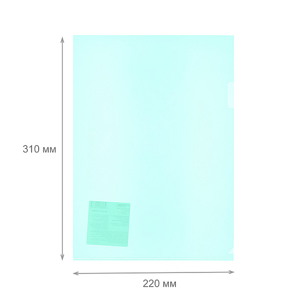 Папка - уголок A4 "Expert Complete" Premier 180 мкм волокно красный new EC21030004