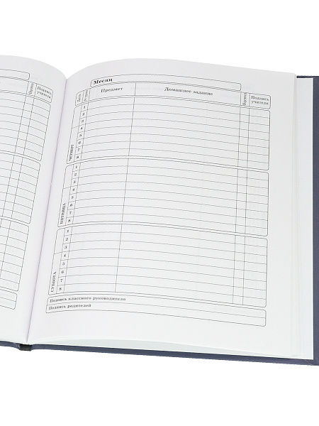 Дневник 1-4 кл. 48 л. тв.переплет "ЖИЗНЬ ТИ-РЕКСА" выб.лак