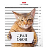 Тетрадь 48 л. кл. "Кот-обормот" 5 диз.в блоке скругл.углы 