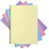 Тетрадь А4 80 листов в клетку пластиковая обложка на спирали ErichKrause Pastel, ассорти