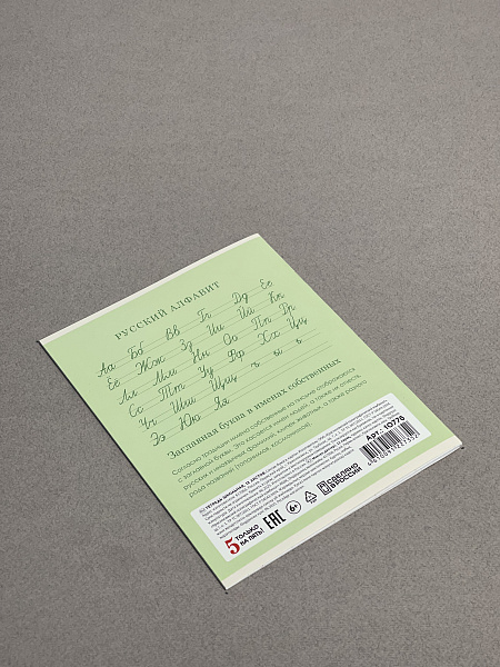 Тетрадь 12 листов в косую линию ЗЕЛЁНАЯ, обложка из мелованного картона (200г/м2), блок офсет (92%, 60г/м2)