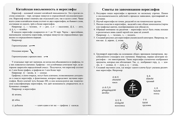 Тетрадь для записи китайских иероглифов А5 24 листа, "Огненный дракон"
