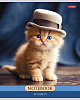 Тетрадь 48 л. кл. "Котики-артисты" 65г/кв.м 5 диз.в блоке скругл.углы