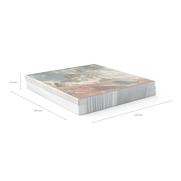 Тетрадь 48 л. кл. "Russian Galaxy", матовая ламинация+выборочный УФ-лак ErichKrause _MIX-PACK