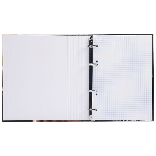 Тетрадь на кольцах А5 120 листов в клетку "Солнечный котик" 60-65г/кв.м с круглым корешком глянц. ламин. в индив.упак.