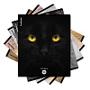 Тетрадь 96 листов в клетку "Cats", матовая ламинация  ErichKrause _MIX-PACK
