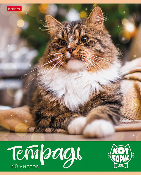 Тетрадь А5 60 листов в клетку, "Кот Борис", обложка мелованный картон, 60 г/м2