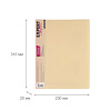Папка 20ф А4 "Expert Complete" Trend Pastel "Pastel" 600 мкм 20 мм диагональ ванильный EC27041830