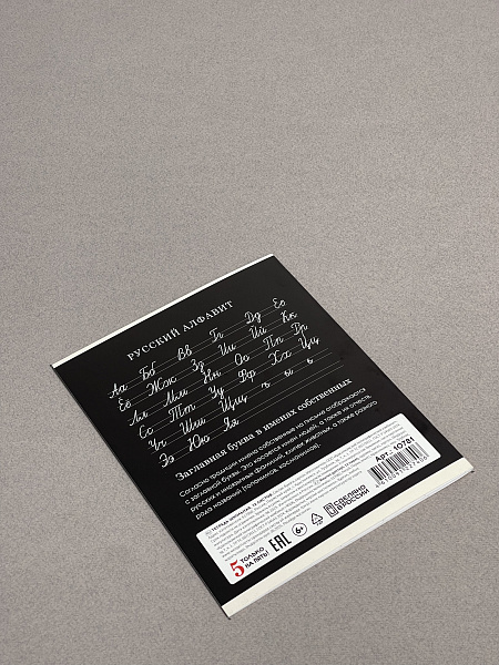 Тетрадь 12 листов в косую линию ЧЕРНАЯ, обложка из мелованного картона (200г/м2), блок офсет (92%, 60г/м2)