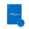 Тетрадь 80 листов в клетку пластиковая обложка на спирали ErichKrause Mirage, синий, A5, 