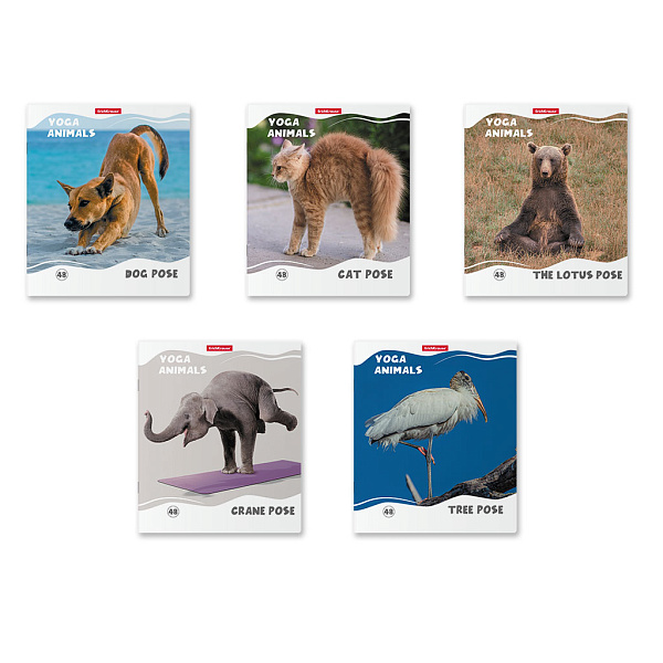 Тетрадь 48 л. кл. "Yoga Style" матовая ламинация ErichKrause _MIX-PACK