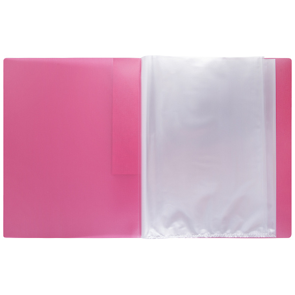 Папка 20ф А4 "Expert Complete" Trend ICEberries 600 мкм  20 мм  1 шт. брусника