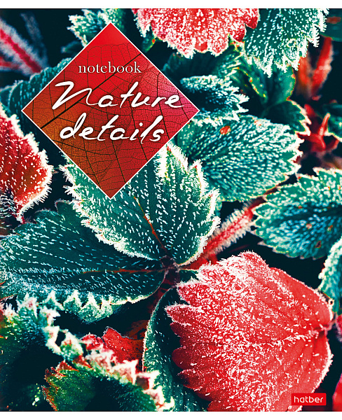 Тетрадь 40 л. кл. "Детали природы" 65г/кв.м