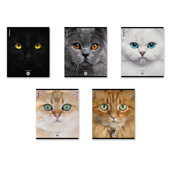 Тетрадь 96 листов в клетку "Cats", матовая ламинация  ErichKrause _MIX-PACK
