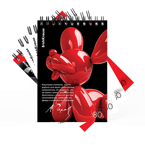 Блокнот А6 80 л. кл. на спирали ErichKrause Balloon Dog, MIX-PACK