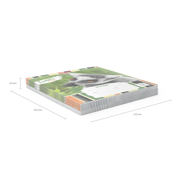 Тетрадь 18 листов в клетку "Lemur Style" ErichKrause (в плёнке по 10 шт.)