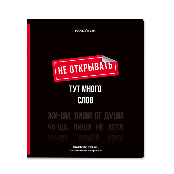 Тетрадь предметная 48 листов  "Фразочки"  Русский язык, со справочным материалом, обложка мелованный картон, блок офсет