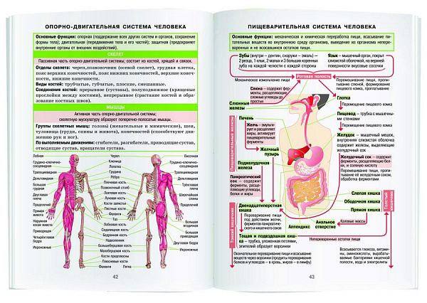 Справочник в таблицах. Биология. 7-11 класс