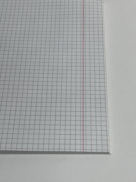 Тетрадь 12 листов в клетку ЗЕЛЁНАЯ, обложка из мелованного картона (200г/м2), блок офсет (92%, 60г/м2)