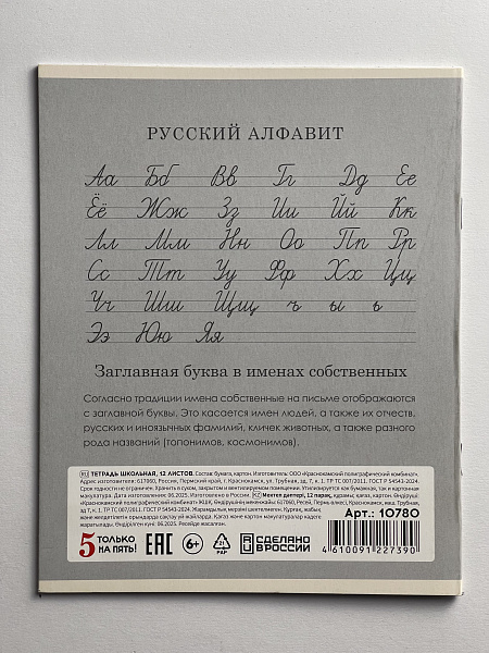Тетрадь 12 листов в косую линию СЕРАЯ, обложка из мелованного картона (200г/м2), блок офсет (92%, 60г/м2)