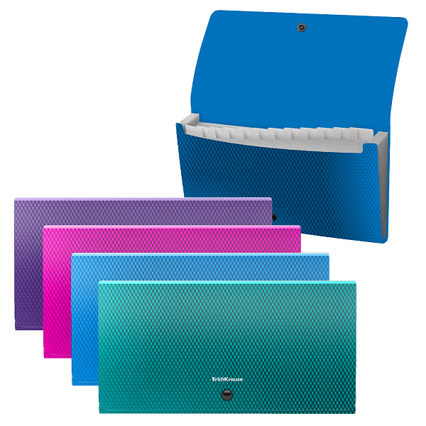 Папка-картотека 13 отд. ErichKrause Diamond Vivid, Check size, ассорти (в пакете по 4 шт.)