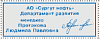 Оснастка для штампа 18*47 подушка Е/30