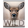 Тетрадь А5 48 листов в клетку, BG "Wild", обложка мелованный картон, вд-лак, серый блок 60 г/м2, суперэконом