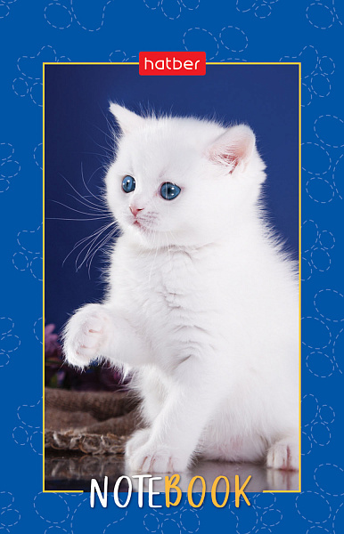 Блокнот 48л А7ф 65х100мм 3-х цв. блок клетка Обл. мел.бумага ламинация на клею серия -Пушистые лапки-