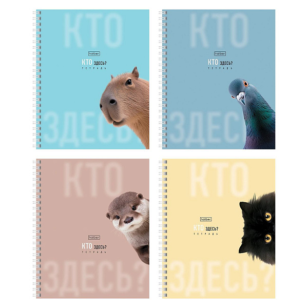 Тетрадь 48 листов в клетку на гребне "Кто здесь?" 60-65г/кв.м ламинация СОФТ ТАЧ перфорация на отрыв 4 диз.в блоке скругл.углы