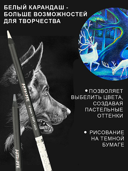 Карандаши 48 цв. ACMELIAE Blackwood Artmate в металлическом футляре