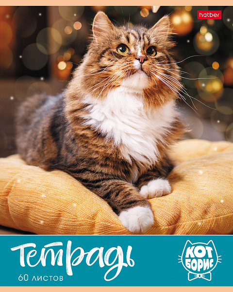 Тетрадь А5 60 листов в клетку, "Кот Борис", обложка мелованный картон, 60 г/м2