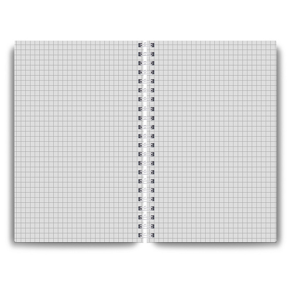 Тетрадь A4 96 л. кл. на гребне "Красотка" 65 г/кв.м , белизна 100 %. "Светоч"