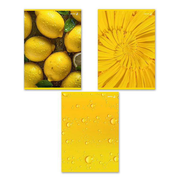 Тетрадь А4 96 л. кл. "Солнечная" выборочный лак, на скобе 65 г/кв.м , белизна 100 % 01356 "Светоч"