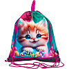 Сумка для сменной обуви "deVENTE. Candy Cat" 40x47 см, водоотталкивающая ткань, на веревочной завязке, с вставкой из пластиковой сетки для вентиляции, с петлей для повеса и переноски