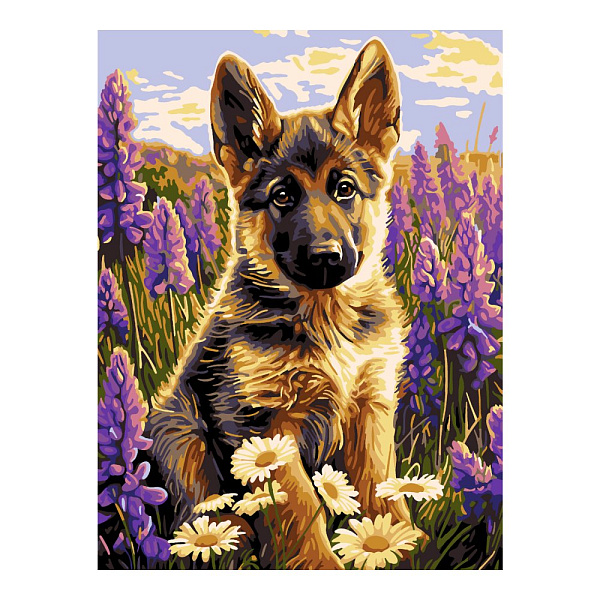 Картина по номерам холст на подрамнике 30*40 см "Маленький друг"