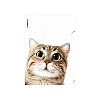Папка-уголок А4 ErichKrause Hiding Cats, пластиковая, ассорти (в пакете по 12 шт.)