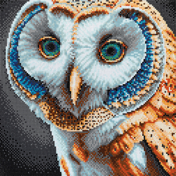 Алмазная мозаика 30*30 "ФРЕЯ" на подрамнике "Золотая сова"