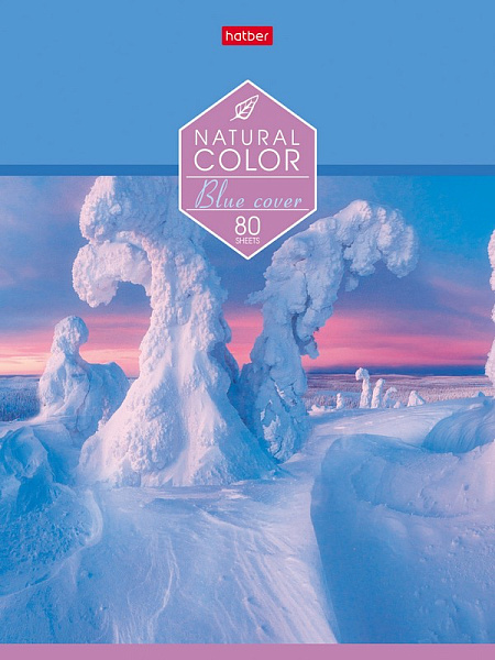 Тетрадь 80 л. лин. "Colour" на скобе 