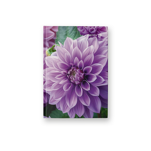 Бизнес-блокнот A6 64 л. кл. "Горными дорогами" матовая ламинация,  01661 "Светоч"