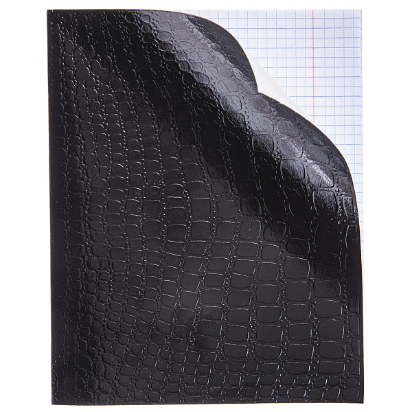 Тетрадь 48 листов в клетку Обл. Бумвинил тиснение КРОКО  МЕТАЛЛИК серия  Черная 60-65г/кв.м на скобе 