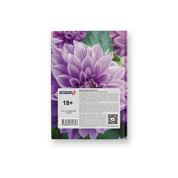 Бизнес-блокнот A6 64 л. кл. "Горными дорогами" матовая ламинация,  01661 "Светоч"