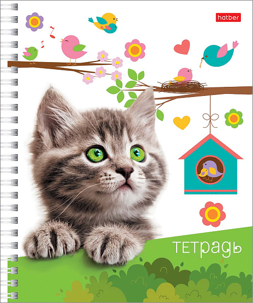 Тетрадь 48 листов в клетку на гребне "Пушистые мордочки"  60-65г/кв.м  Обл. мел.картон 4 диз.в блоке