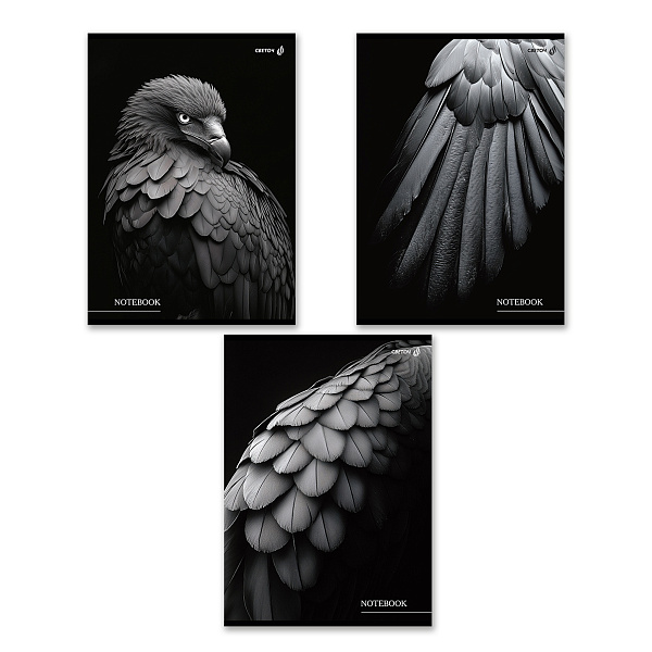 Тетрадь А4 80 л. кл. "Чёрные крылья" выборочный лак, на скобе 65 г/кв.м , белизна 100 % 01350 "Светоч"